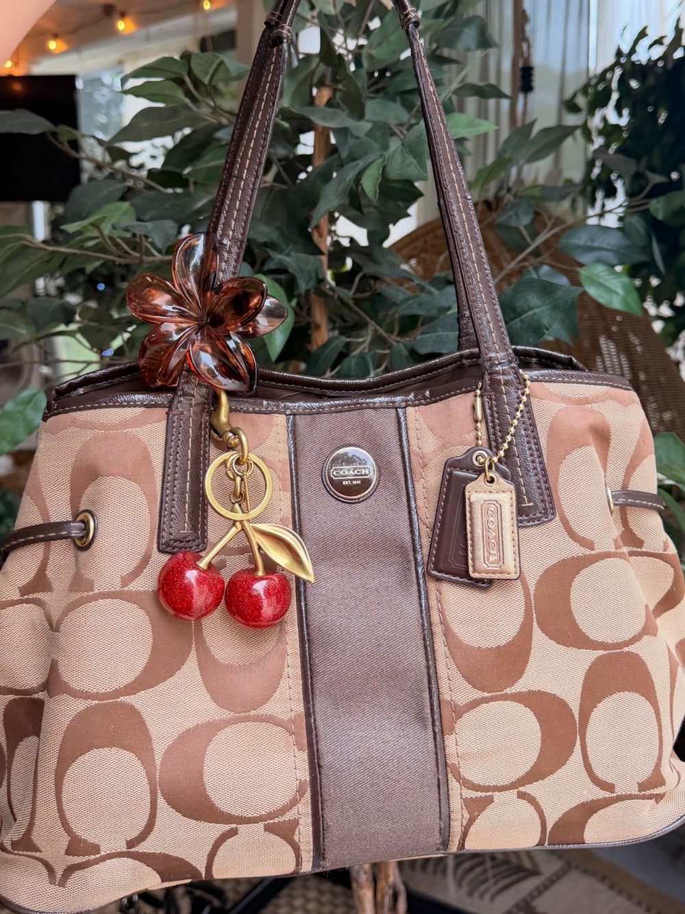 Coach Signature Stripe Carryall tote bag